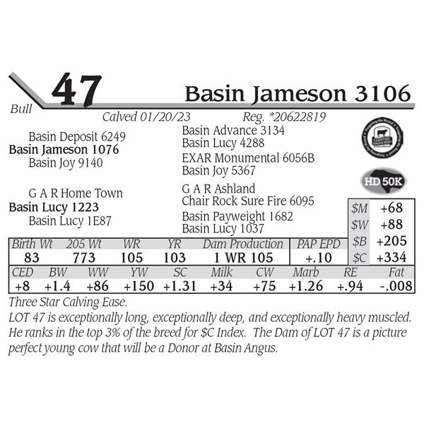 Basin Jameson 3106