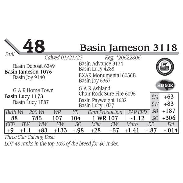 Basin Jameson 3118