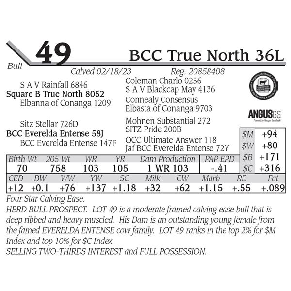 BCC True North 36L