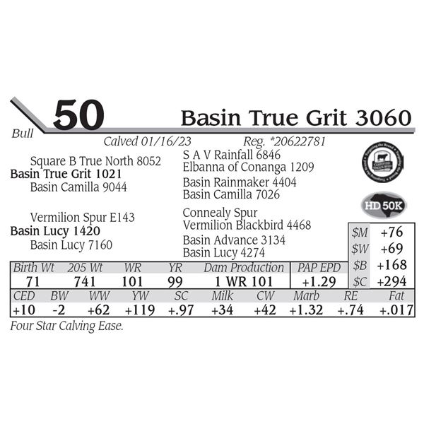 Basin True Grit 3060