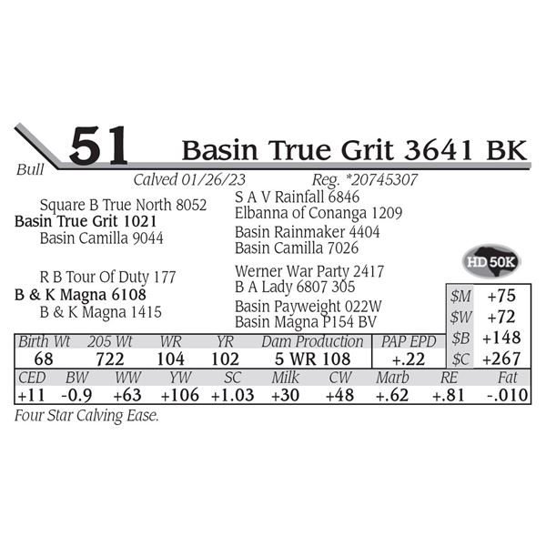 Basin True Grit 3641 BK