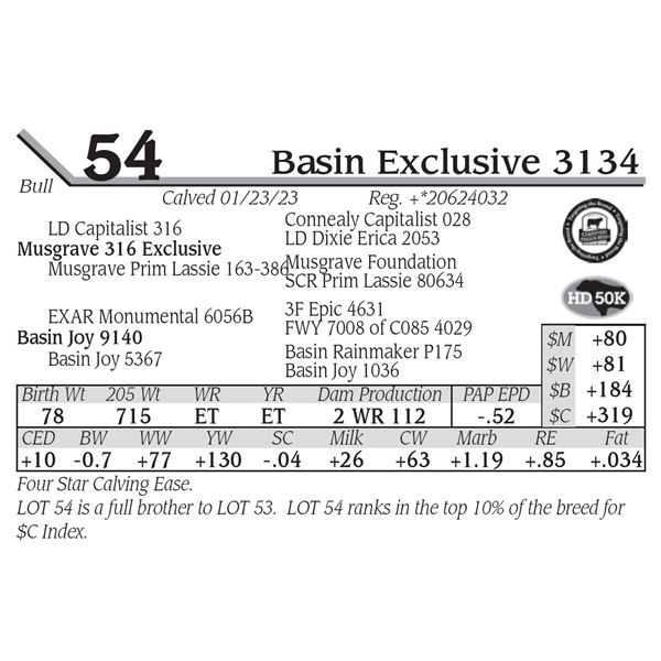 Basin Exclusive 3134