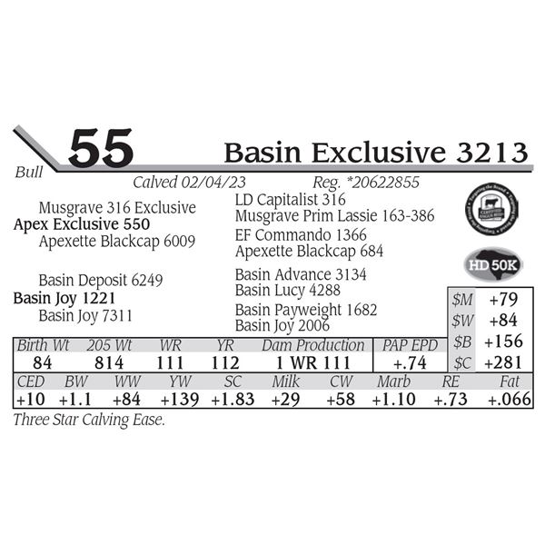 Basin Exclusive 3213