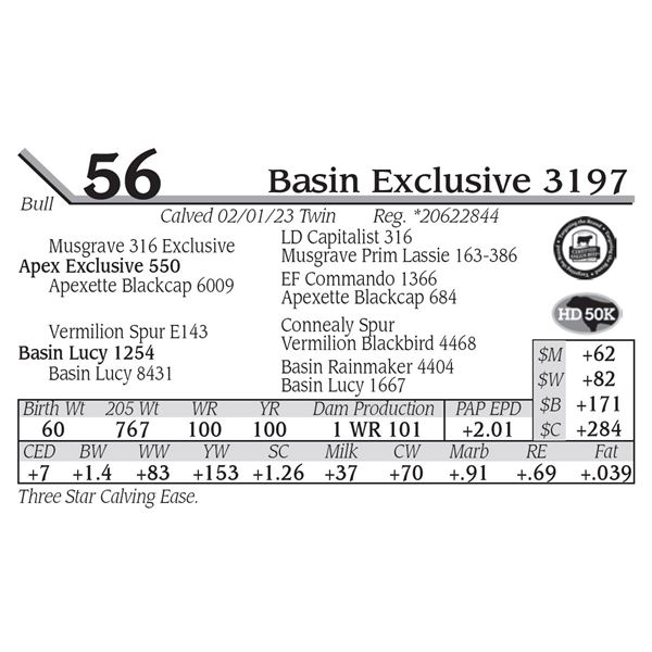 Basin Exclusive 3197