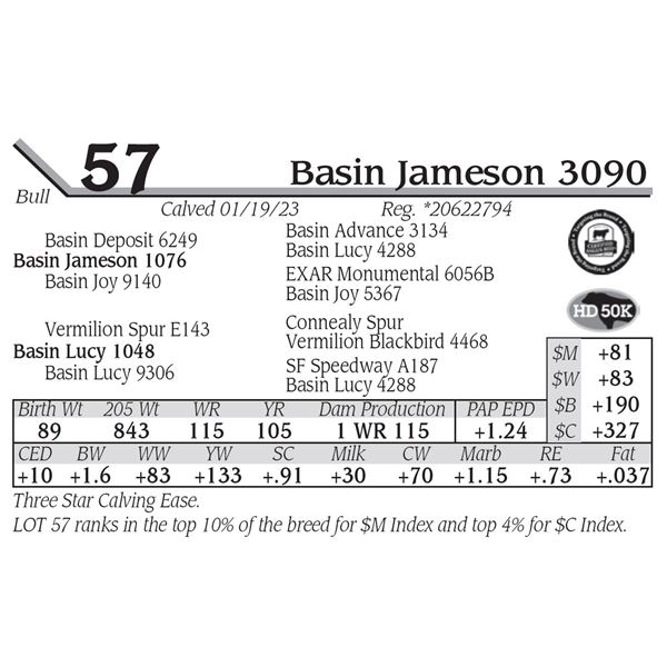 Basin Jameson 3090