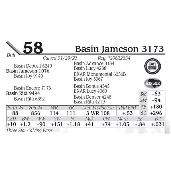 Basin Jameson 3173