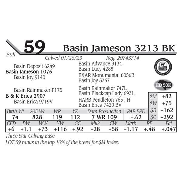 Basin Jameson 3213 BK