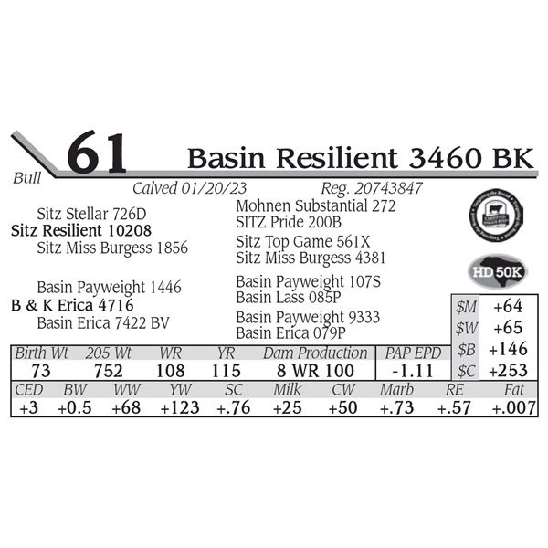 Basin Resilient 3460 BK