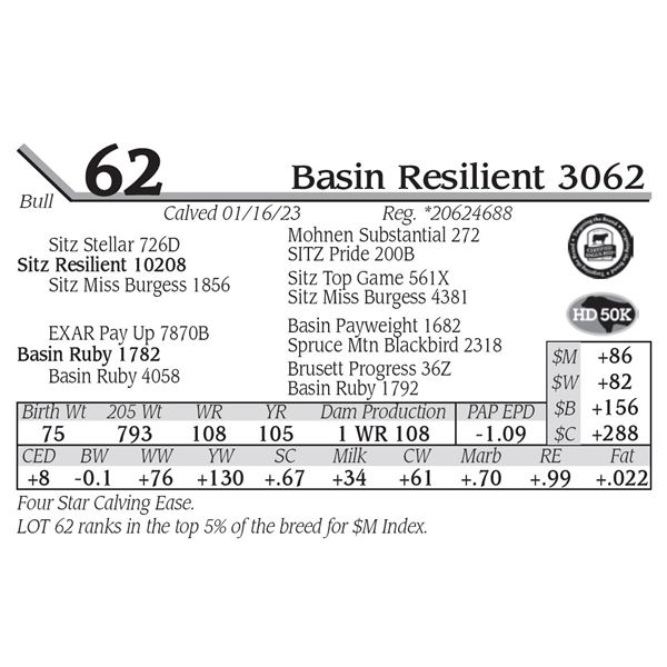 Basin Resilient 3062
