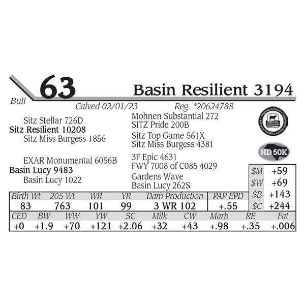 Basin Resilient 3194