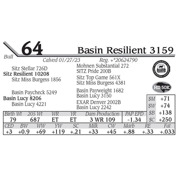 Basin Resilient 3159
