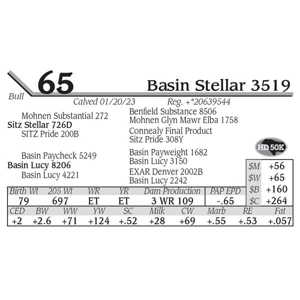 Basin Stellar 3519