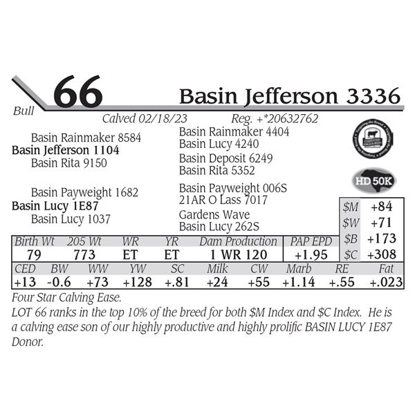 Basin Jefferson 3336