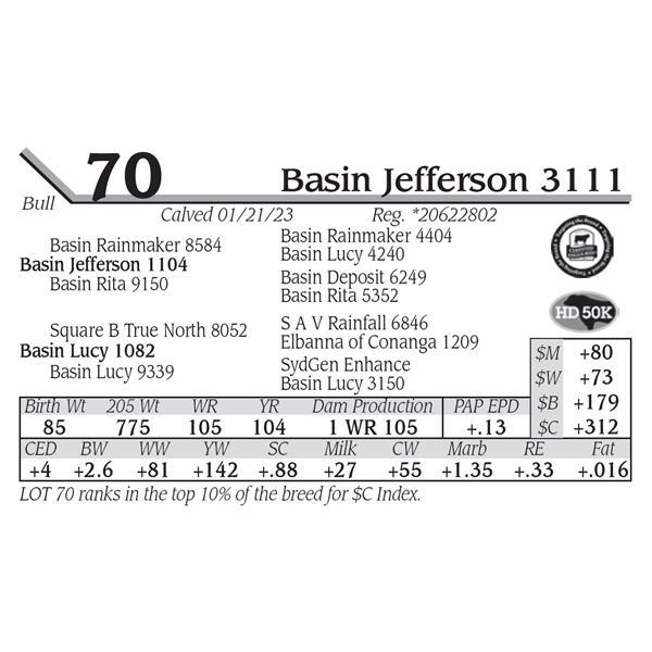 Basin Jefferson 3111