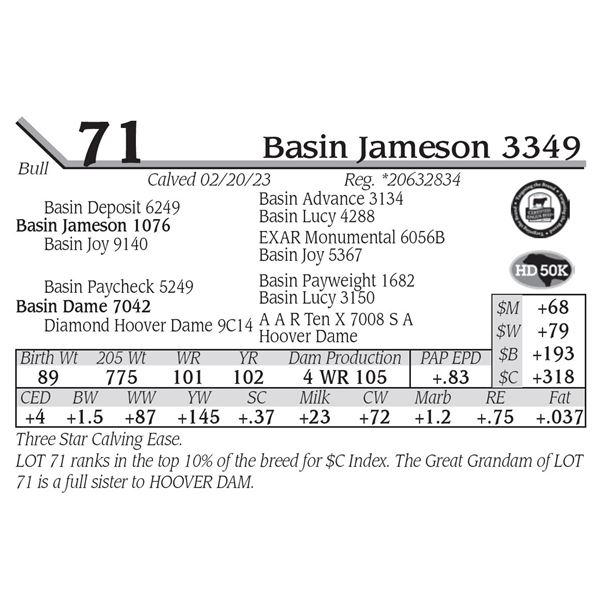Basin Jameson 3349
