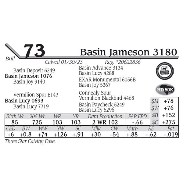 Basin Jameson 3180