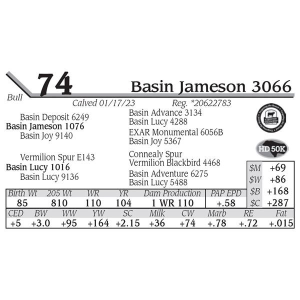Basin Jameson 3066