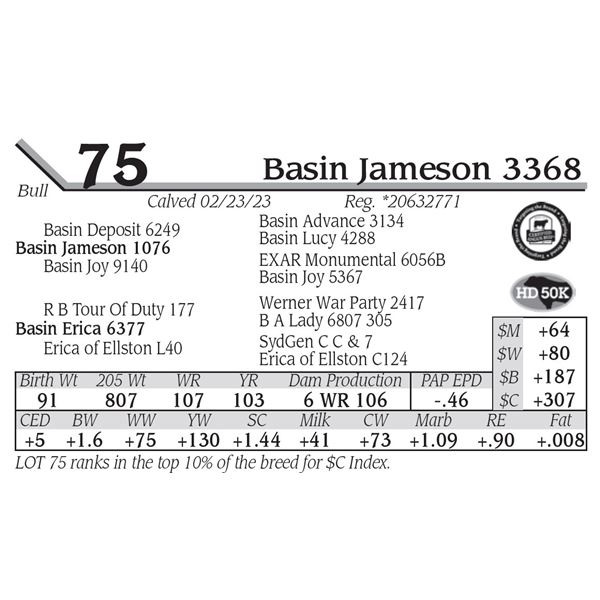 Basin Jameson 3368