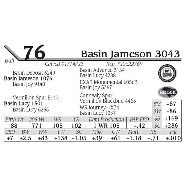 Basin Jameson 3043