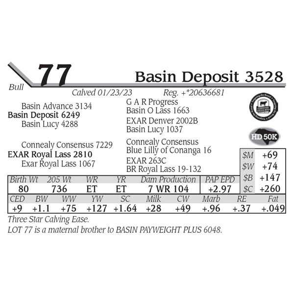 Basin Deposit 3528