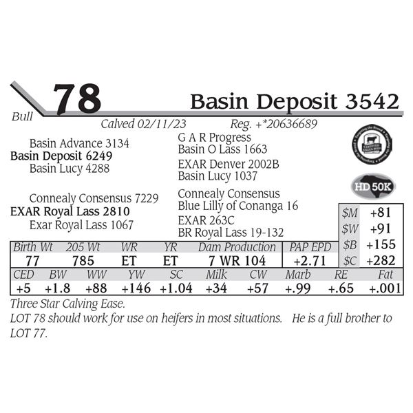 Basin Deposit 3542