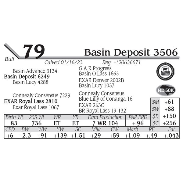 Basin Deposit 3506