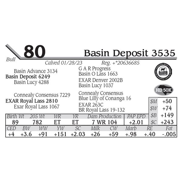 Basin Deposit 3535