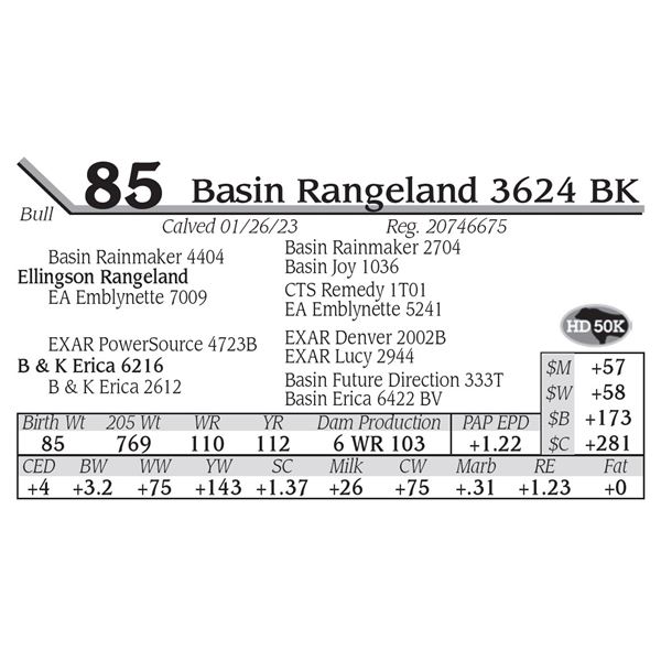 Basin Rangeland 3624 BK