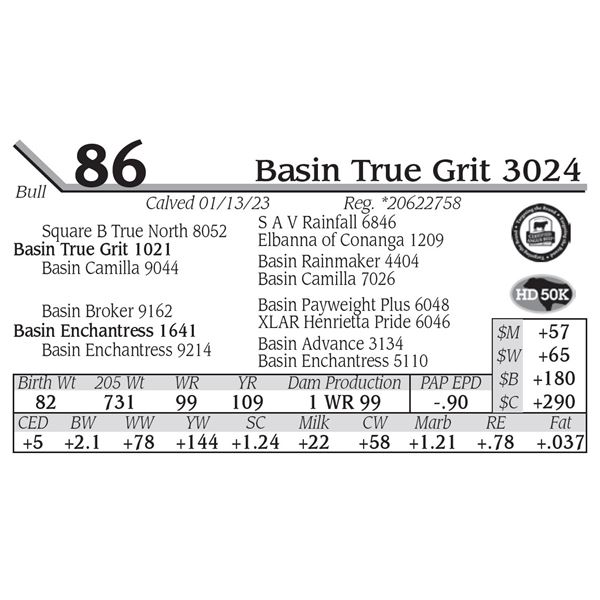 Basin True Grit 3024