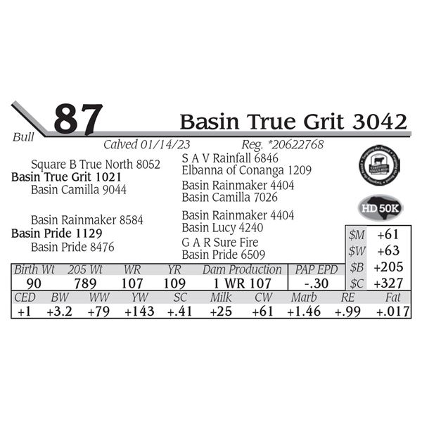 Basin True Grit 3042
