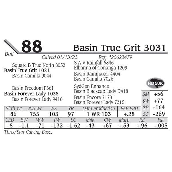 Basin True Grit 3031