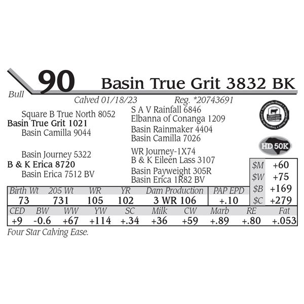 Basin True Grit 3832 BK