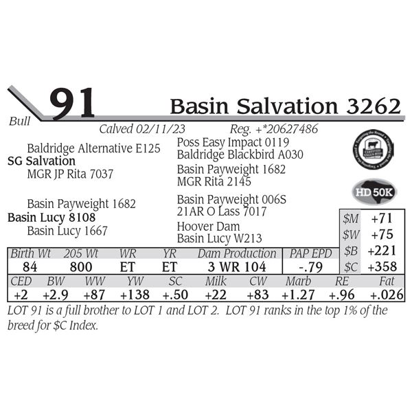 Basin Salvation 3262