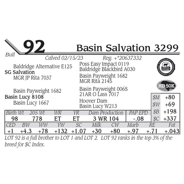 Basin Salvation 3299