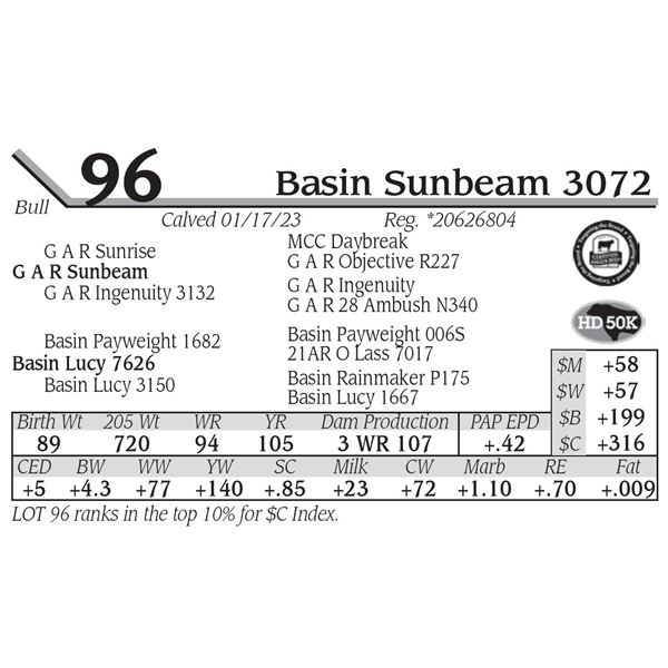 Basin Sunbeam 3072