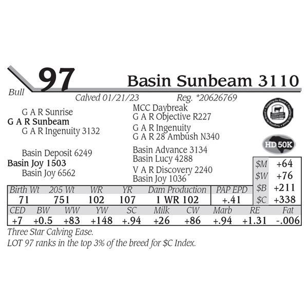 Basin Sunbeam 3110