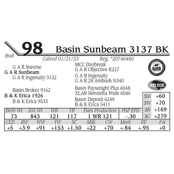 Basin Sunbeam 3137 BK