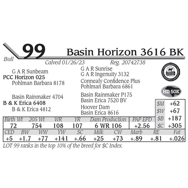 Basin Horizon 3616 BK