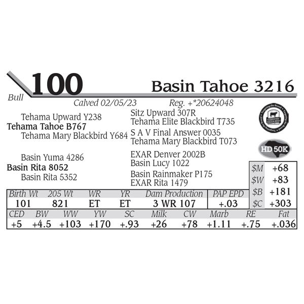 Basin Tahoe 3216