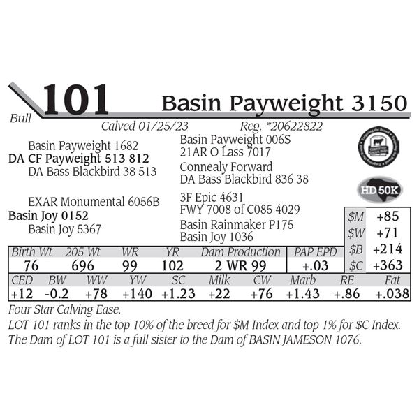 Basin Payweight 3150