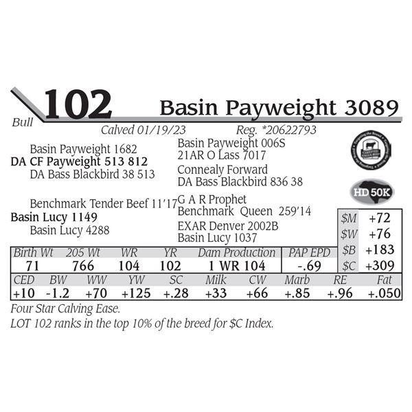 Basin Payweight 3089