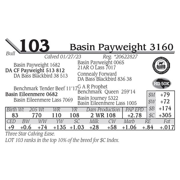 Basin Payweight 3160