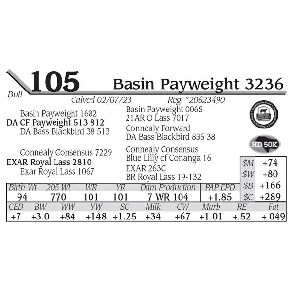 Basin Payweight 3236
