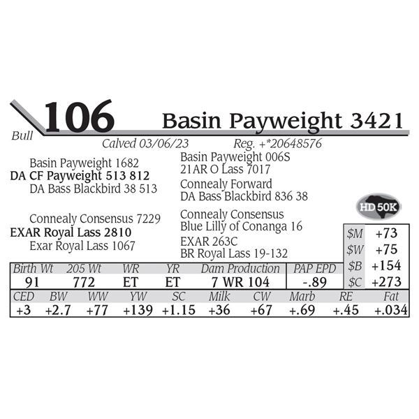 Basin Payweight 3421