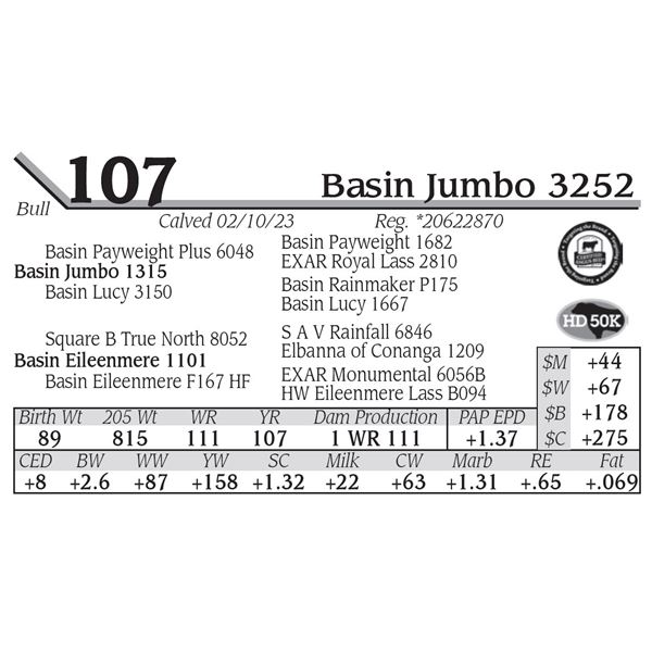 Basin Jumbo 3252