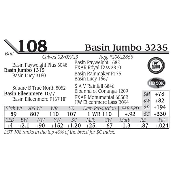Basin Jumbo 3235