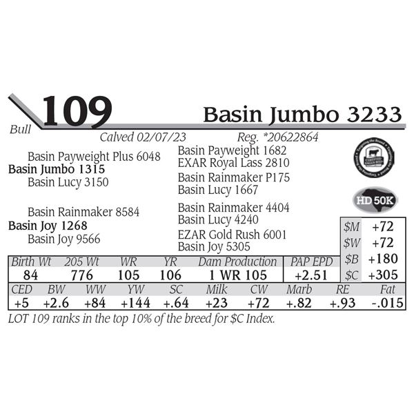 Basin Jumbo 3233