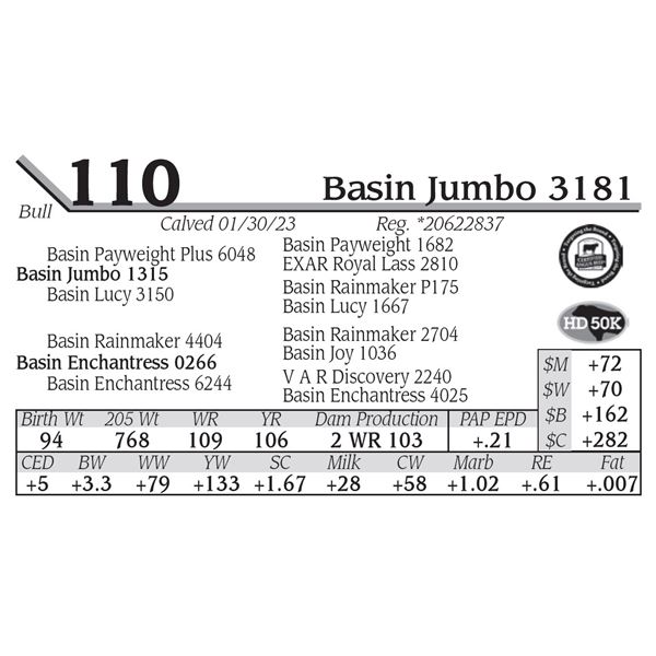 Basin Jumbo 3181