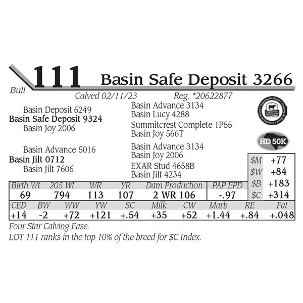 Basin Safe Deposit 3266