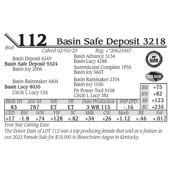 Basin Safe Deposit 3218